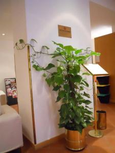 Albergo Italia - 13