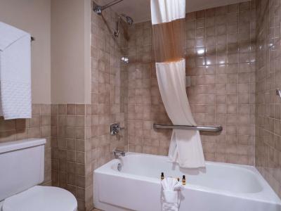 Best Western Plus Saddleback Inn and Conference Center - 7