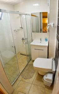 Green Palm - 23