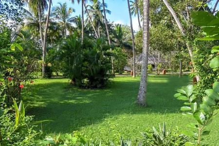 Eva Lanka - Beach & Wellness - 23