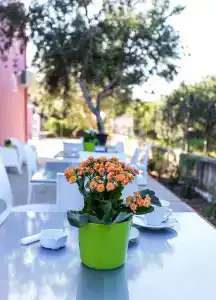 Miss Sicily B&B - 12