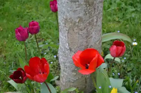 Manoir Du Parc (Adults only) - 118