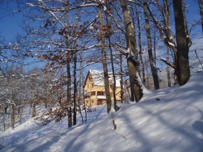 Guest House Tara Canyon - 4