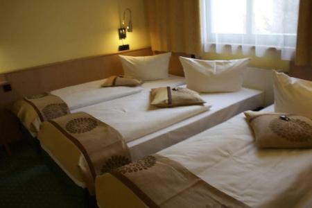 Acron Wittenberg - 4