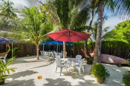 Shallow Lagoon - 20