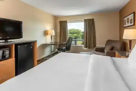 Comfort Inn - 35