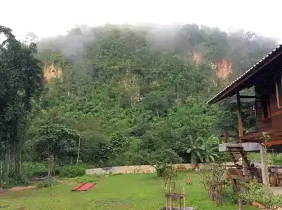Chiang Dao Hut - 110