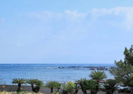 Shirahama Ocean Resort - 14