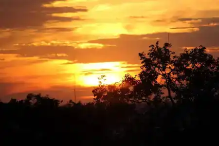 City River - 11