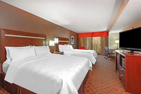 Holiday Inn & Suites Downtown, an IHG - 68