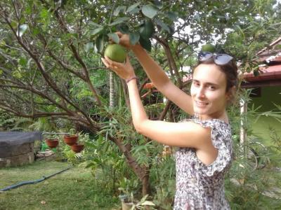 Sigiriya Rock Gate Resort - 21