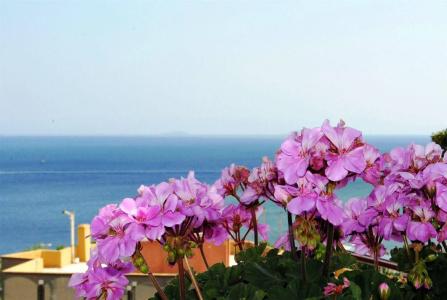 Buhara Family Inn - 17