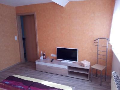 Pension zum Ringelberg - 79