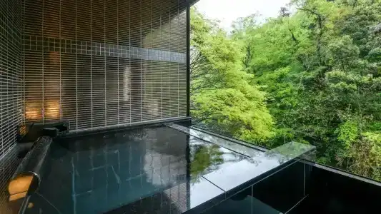 Shirasagiyu Tawaraya - 30