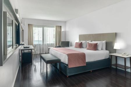 Dazzler by Wyndham Buenos Aires Recoleta - 6