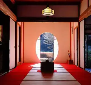 8 - 14