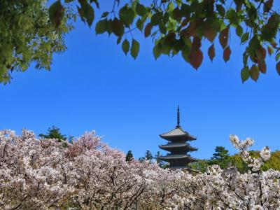 Stay Sakura Kyoto Higashiyama Shirakawa - 15