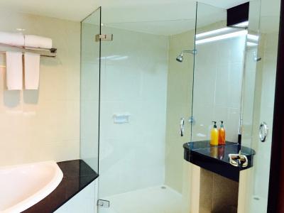 Indra Regent - 8