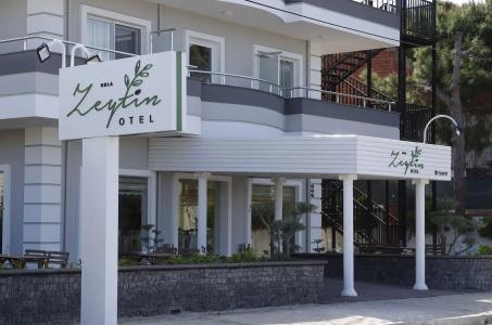 Urla Zeytin - 12