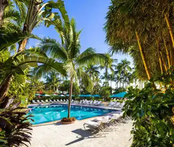 The Palms & Spa - 39