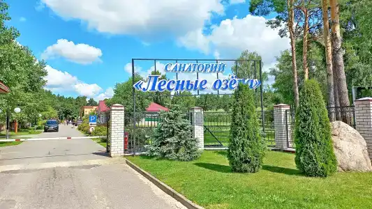 Лесные озера - 24