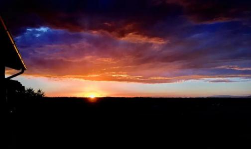 Tenuta Badia '99 - 51