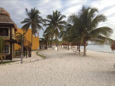 PavoReal Beach - 19