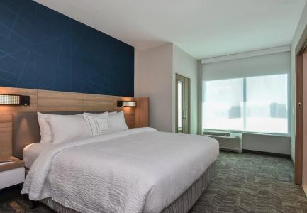 SpringHill Suites by Marriott Charlotte Uptown - 26