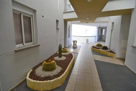 Arena Suites - 11