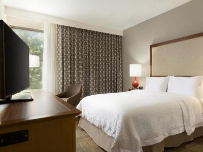 Hampton Inn Atlanta-Buckhead - 35