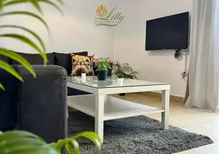 Lilly - 11