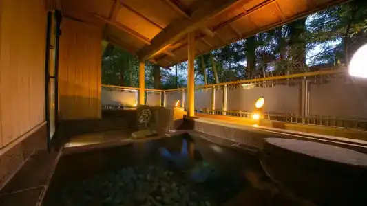 Ryokan Tanigawa - 18
