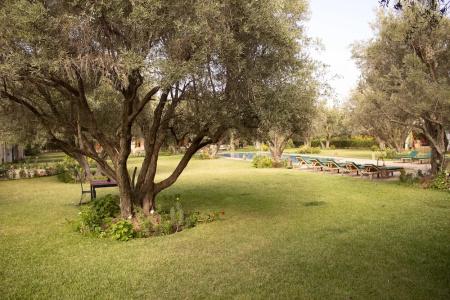 Aqua Mirage Club & Aqua Parc - All Inclusive - 68