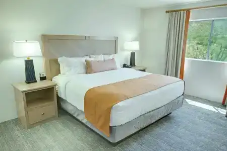 Starr Pass Golf Suites - 51