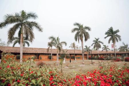 Lumbini Hokke - 13