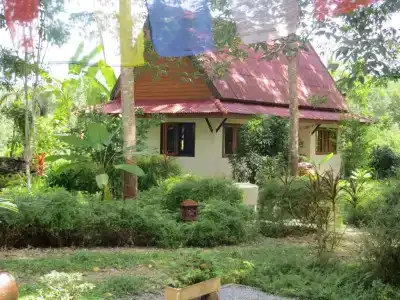 Manora Garden - 38