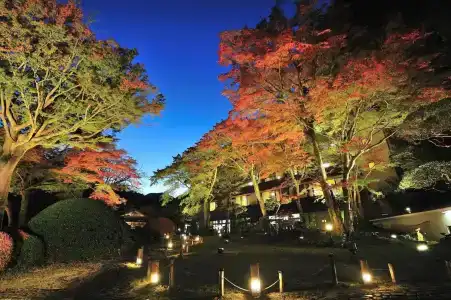 Yoshiike Ryokan - 39