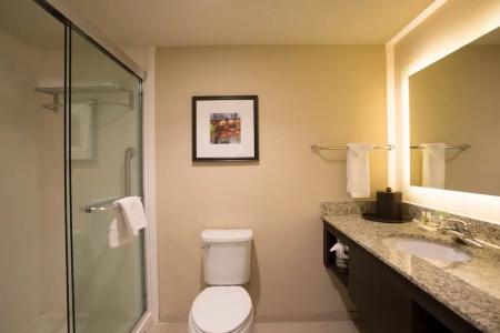 Holiday Inn Murfreesboro/Nashville, An Ihg - 77