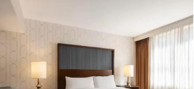 The American Atlanta Downtown-a Doubletree by Hilton - 67