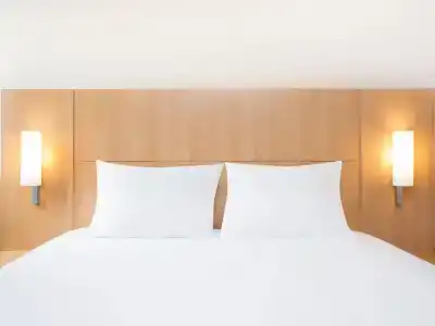 ibis Lausanne Crissier - 65