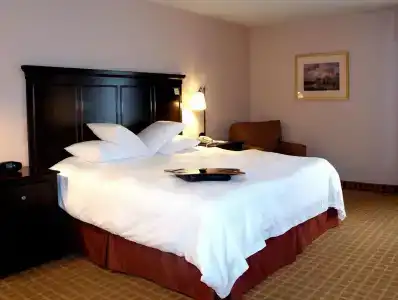 Hampton Inn Dallas-Irving-Las Colinas - 36