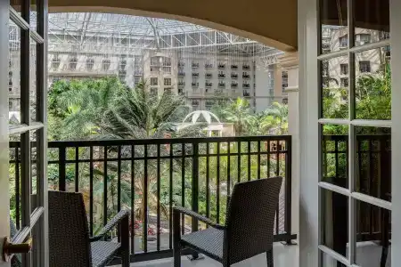 Gaylord Palms Resort & Convention Center - 64
