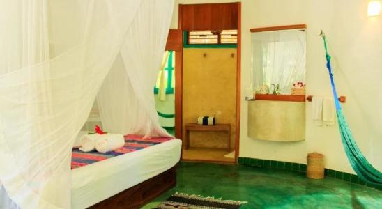 Dos Ceibas Eco Retreat Tulum - 15