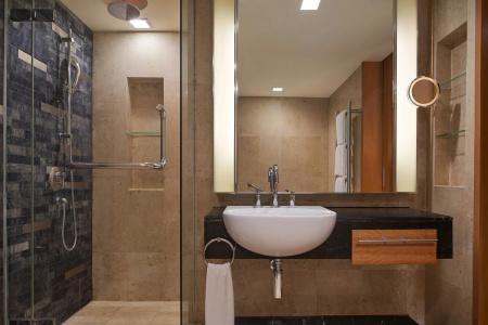 Royal Orchid Sheraton And Towers - Sha Extra Plus - 37
