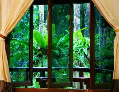 Khaosok Riverside Cottages - 136