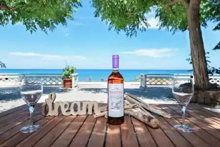 Stegna Dream - 122