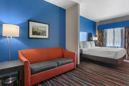 Best Western Plus Tech Medical Center Inn - 5
