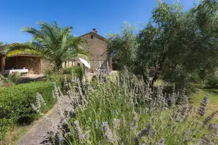 Il Vecchio Mulino Toscana - 34
