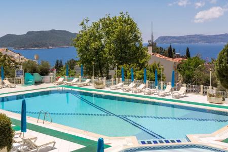 Club Phellos - 9