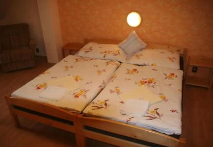 Chebsky dvur - Egerlander Hof - 8